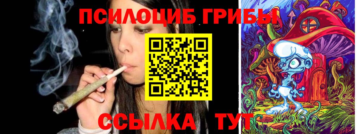Галлюциногенные грибы прущие грибы Волгоград