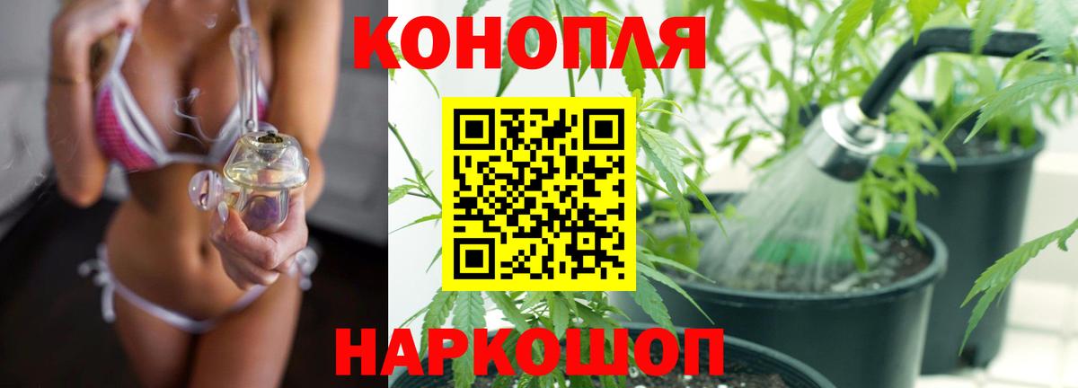 Бошки Шишки тримм Волгоград